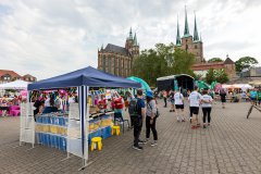 012_5V6A6740.jpg